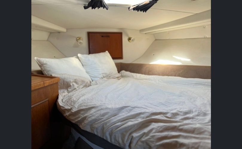 Fairline Targa 33-kuva-3